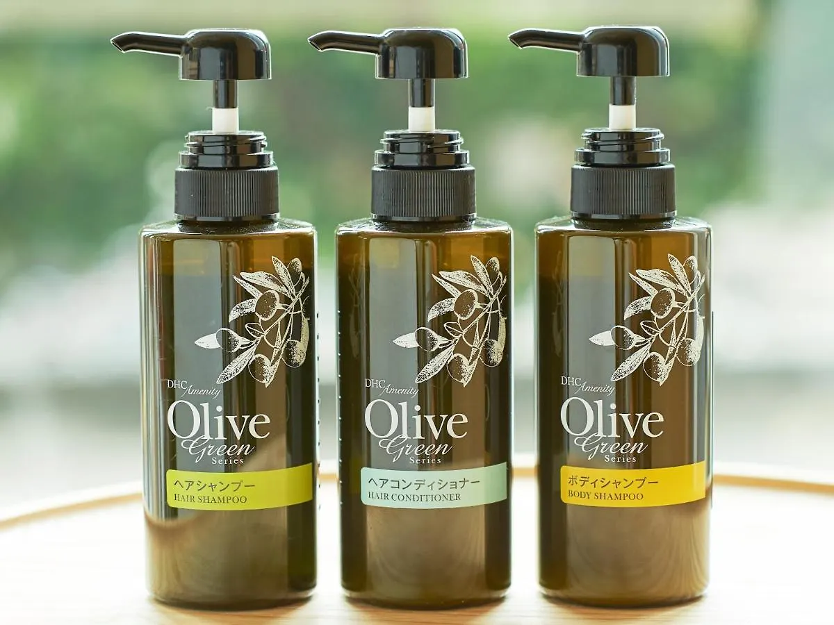 Sotetsu Fresa Inn Ginza-Nanachome Tokio 3*,  Japonia